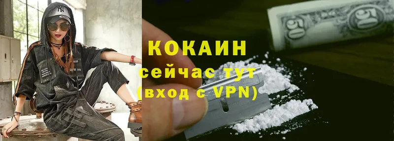 Cocaine 98%  где можно купить   Заводоуковск 