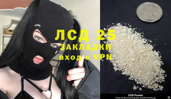 молекула духа Михайловск