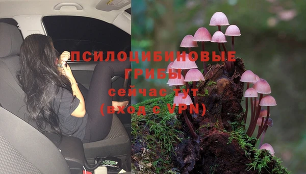 MDMA Premium VHQ Магадан