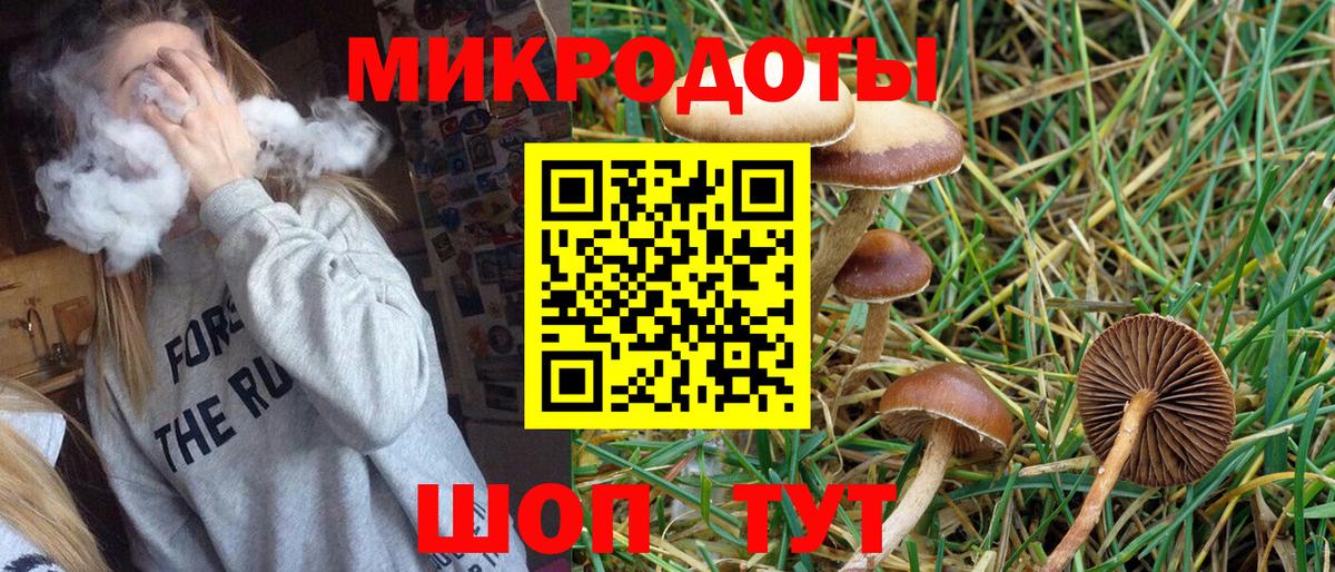 Галлюциногенные грибы ЛСД  Вход с VPN  Заводоуковск 