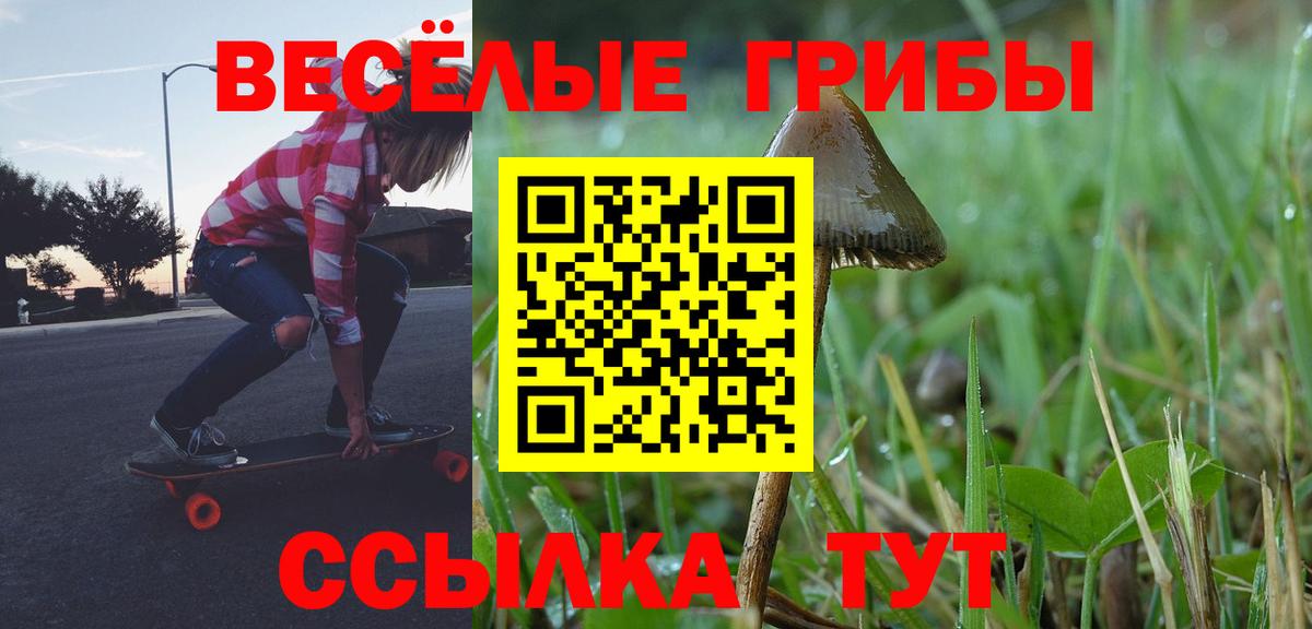 Галлюциногенные грибы Psilocybe  Заводоуковск  Галлюциногенные грибы Psilocybine cubensis 