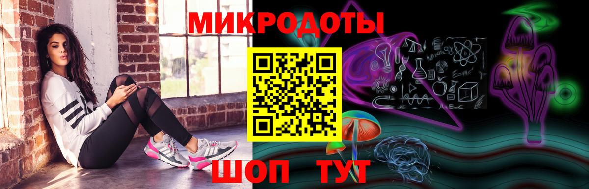 Псилоцибиновые грибы мицелий Заводоуковск
