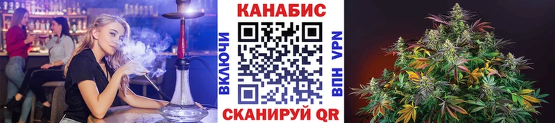 мориарти телеграм  Заводоуковск  Каннабис план 